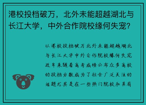 港校投档破万，北外未能超越湖北与长江大学，中外合作院校缘何失宠？