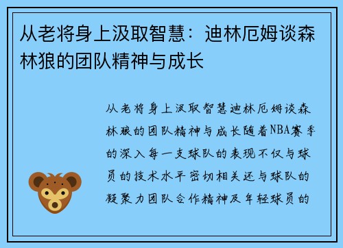 从老将身上汲取智慧：迪林厄姆谈森林狼的团队精神与成长