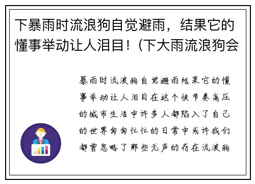 下暴雨时流浪狗自觉避雨，结果它的懂事举动让人泪目！(下大雨流浪狗会在哪躲雨)