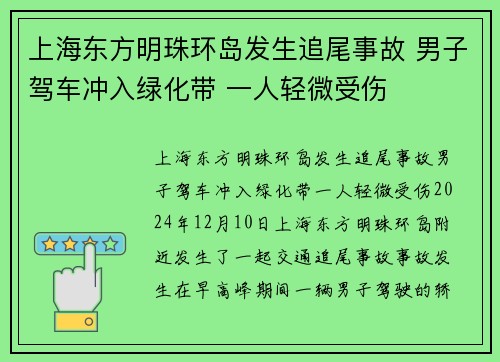 上海东方明珠环岛发生追尾事故 男子驾车冲入绿化带 一人轻微受伤