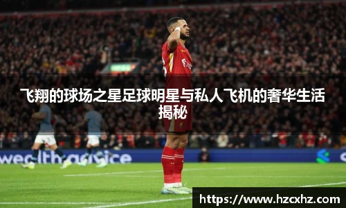 飞翔的球场之星足球明星与私人飞机的奢华生活揭秘